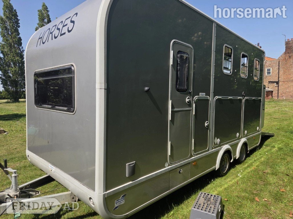 Ifor Williams Eventa L Gold  Horse Trailer in Wyboston