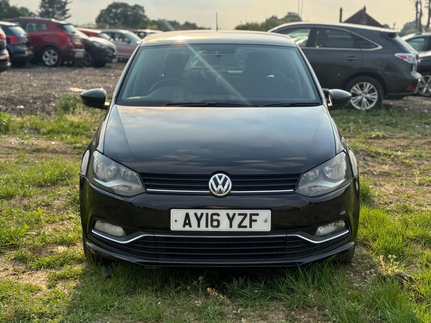 Volkswagen Polo Windsor
