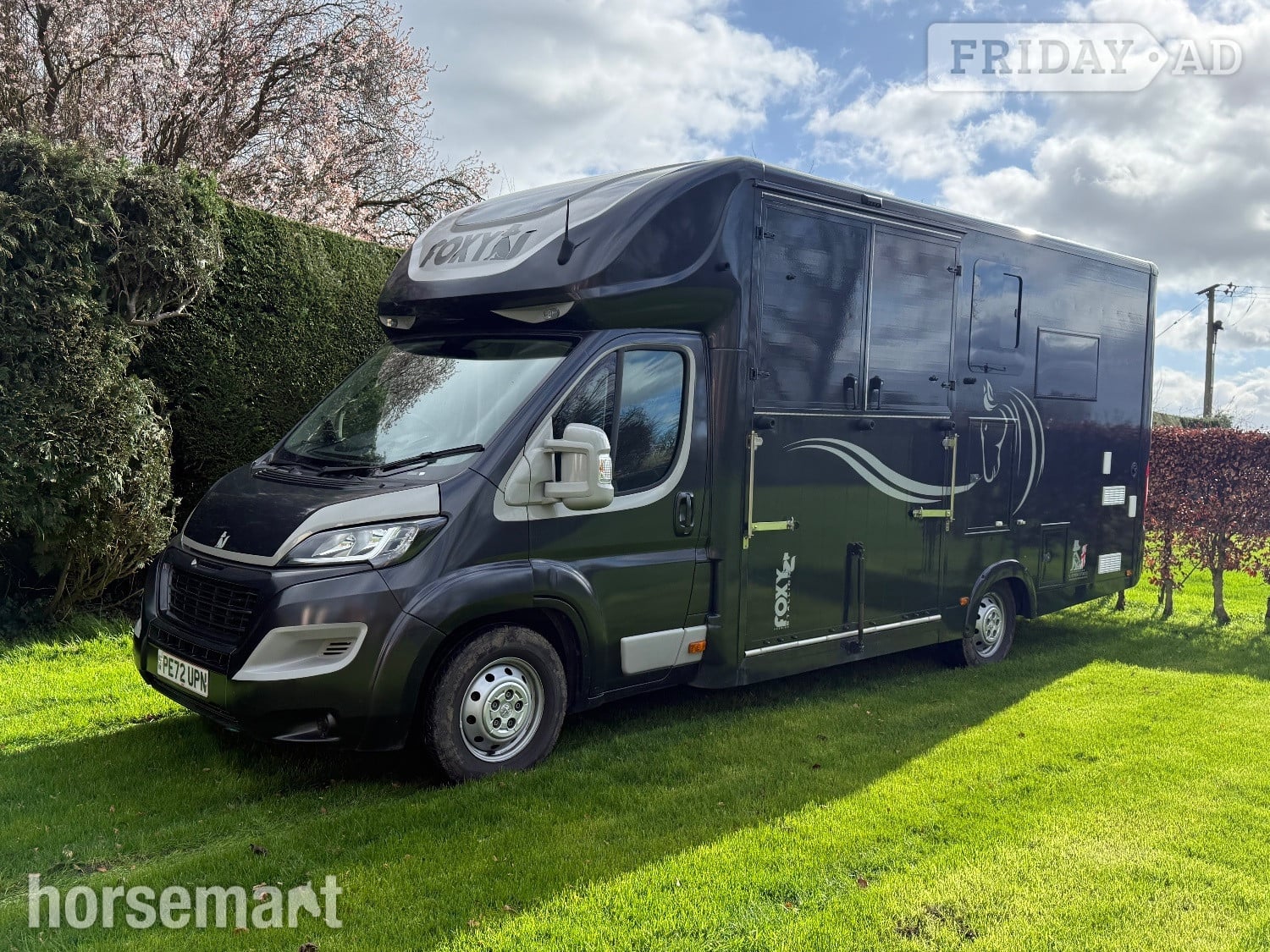 Foxy Weekender Peugeot Horsebox - Trailers & Horseboxes