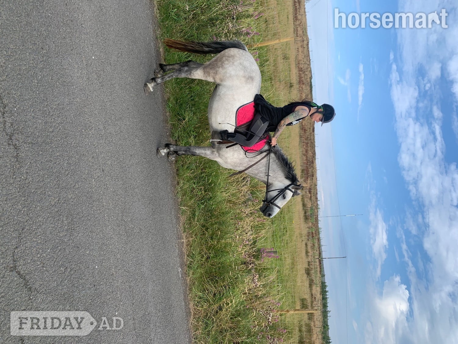 "Lettermore annie" Dun Mare All Rounder