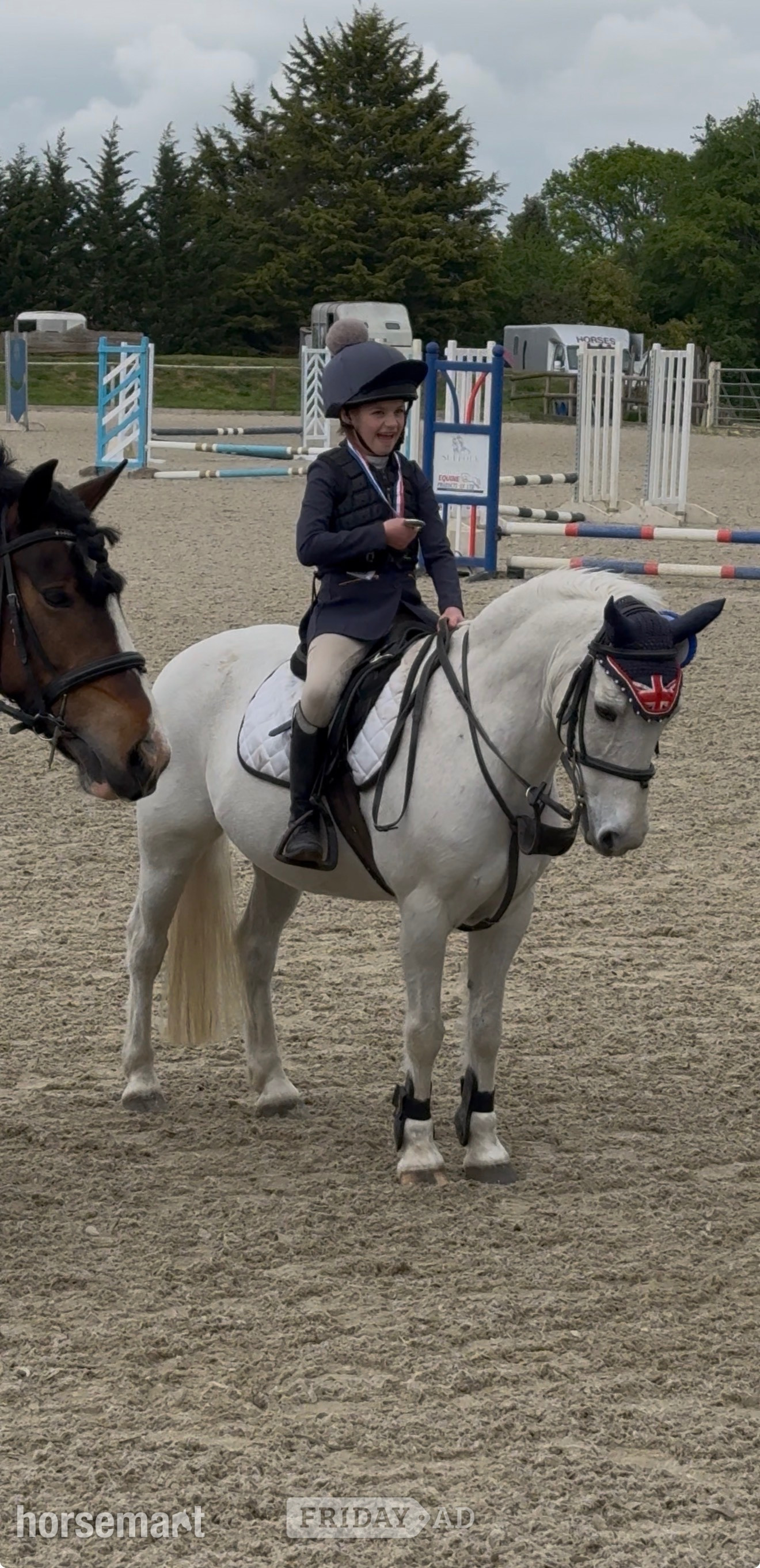 "Rocket boy - Billy " Grey Gelding Pony Club Pony - Horses in Sudbury