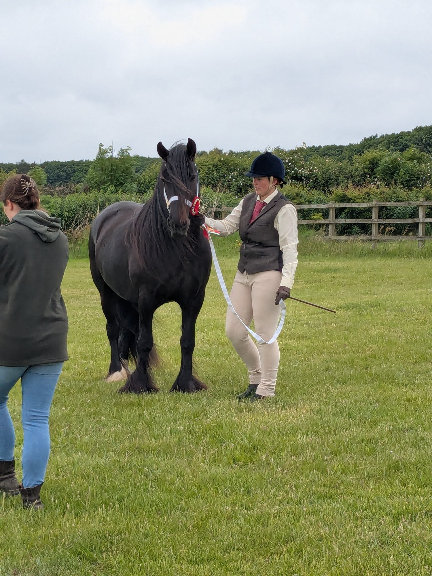 "Sowermire flash ii" Black Gelding Mountain & Moorland Pony