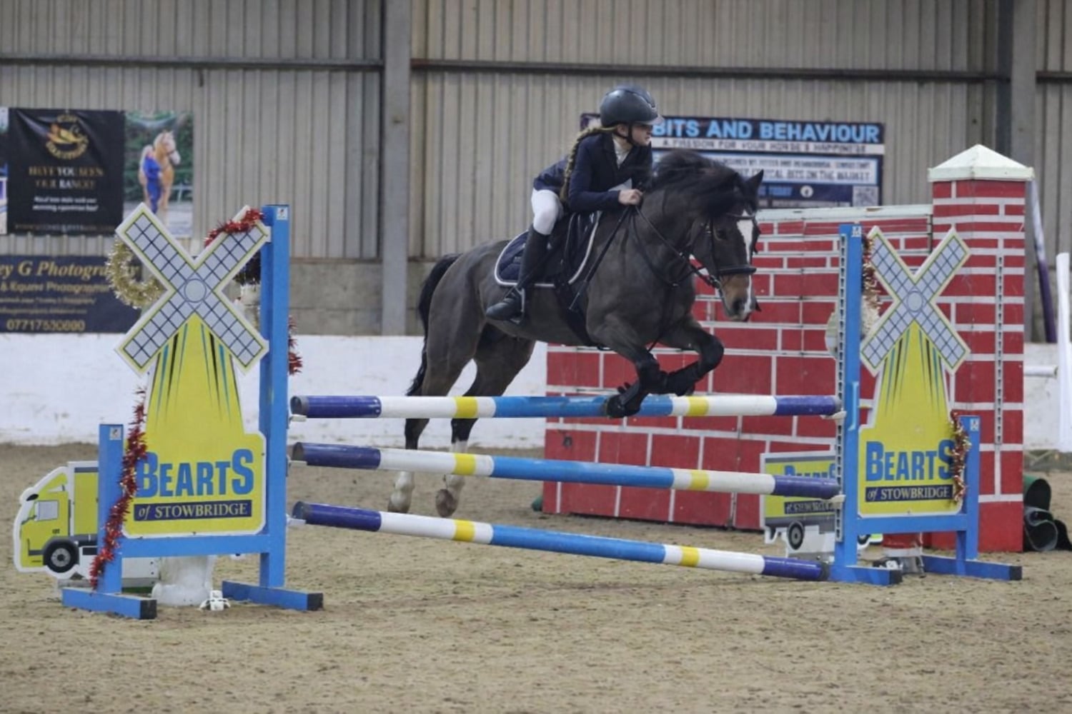 Ely "Bracken what’s wanted " Bay Gelding Show Jumper