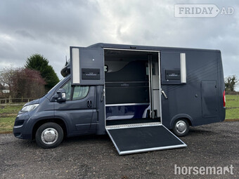 I.C.E Dynamic S Citroen Horsebox
