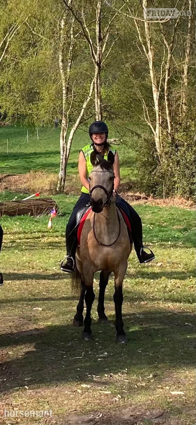 Woking "Molly" Dun Mare All Rounder