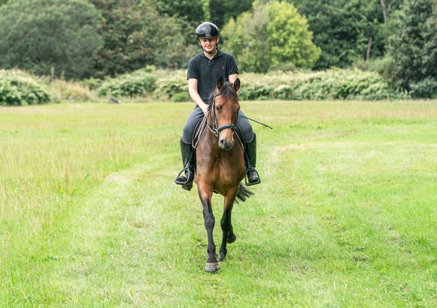 "Bambi (katinka)" Bay Mare All Rounder