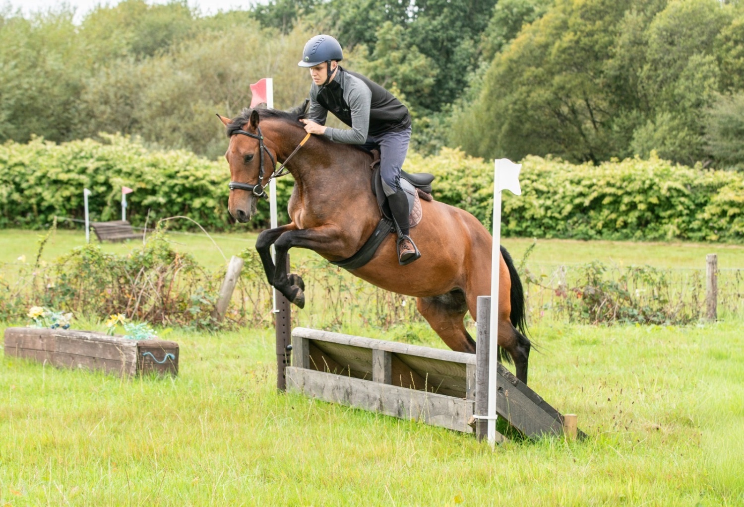 Carmarthen "Bambi (katinka)" Bay Mare All Rounder