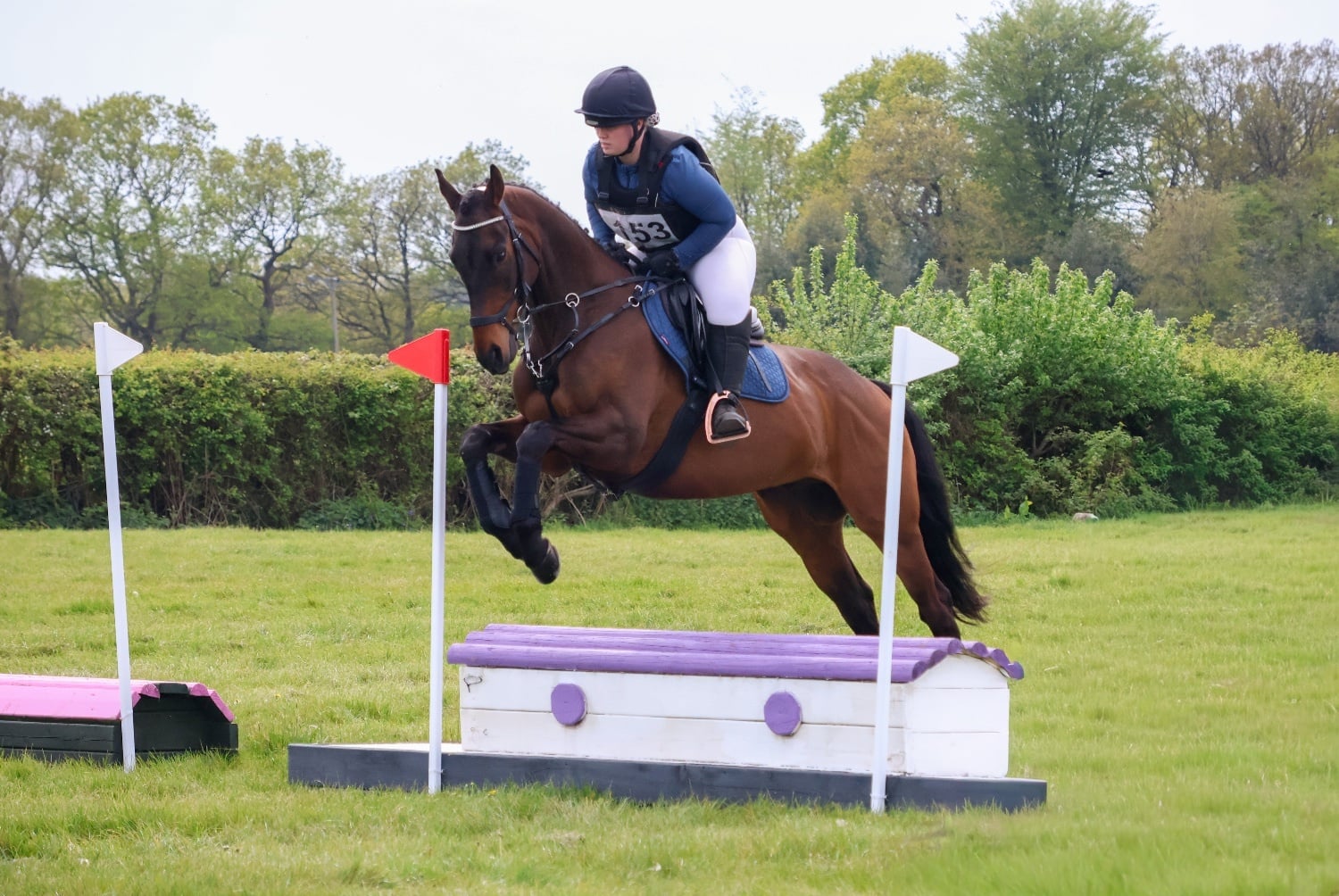 Birmingham Ottb 6 year old for part/ full loan