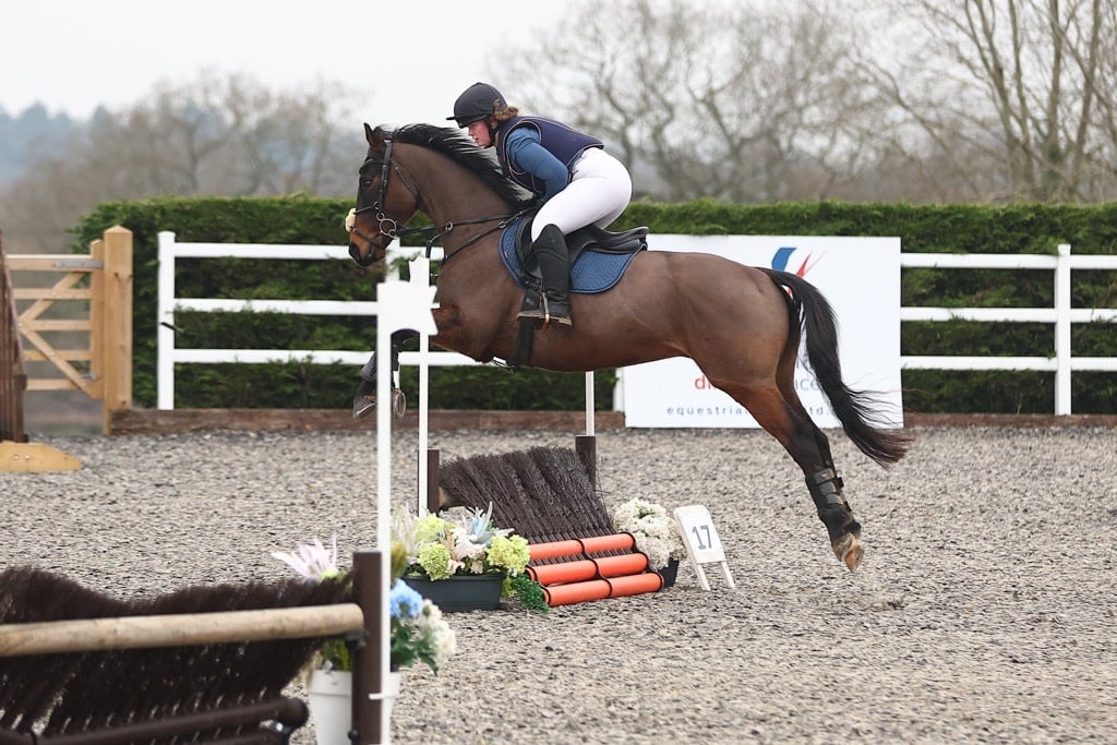 Ottb 6 year old for part/ full loan - Horses in Birmingham