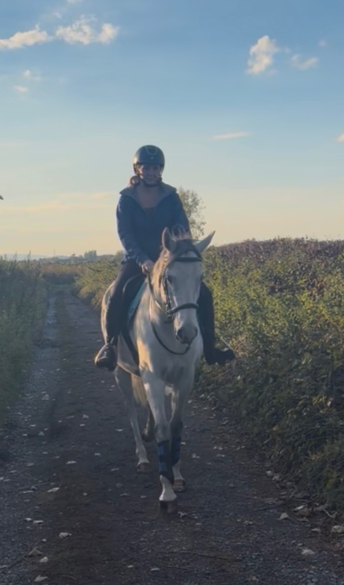 "Moonie "  Mare All Rounder