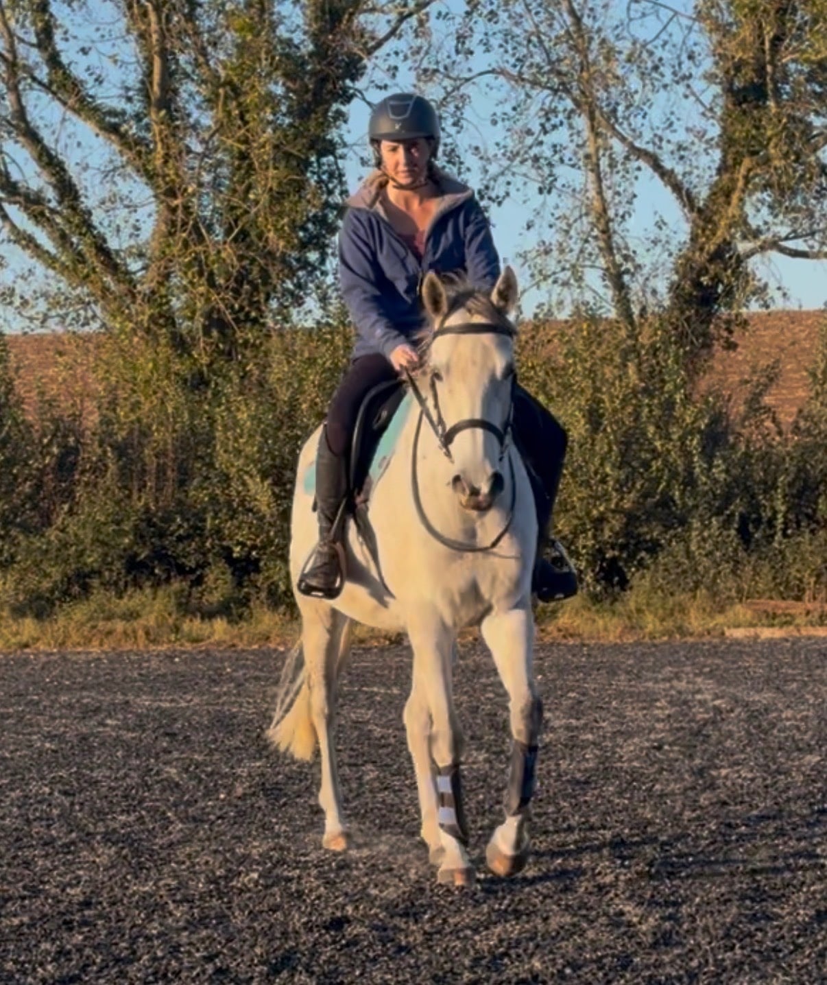 Bridgwater "Moonie "  Mare All Rounder