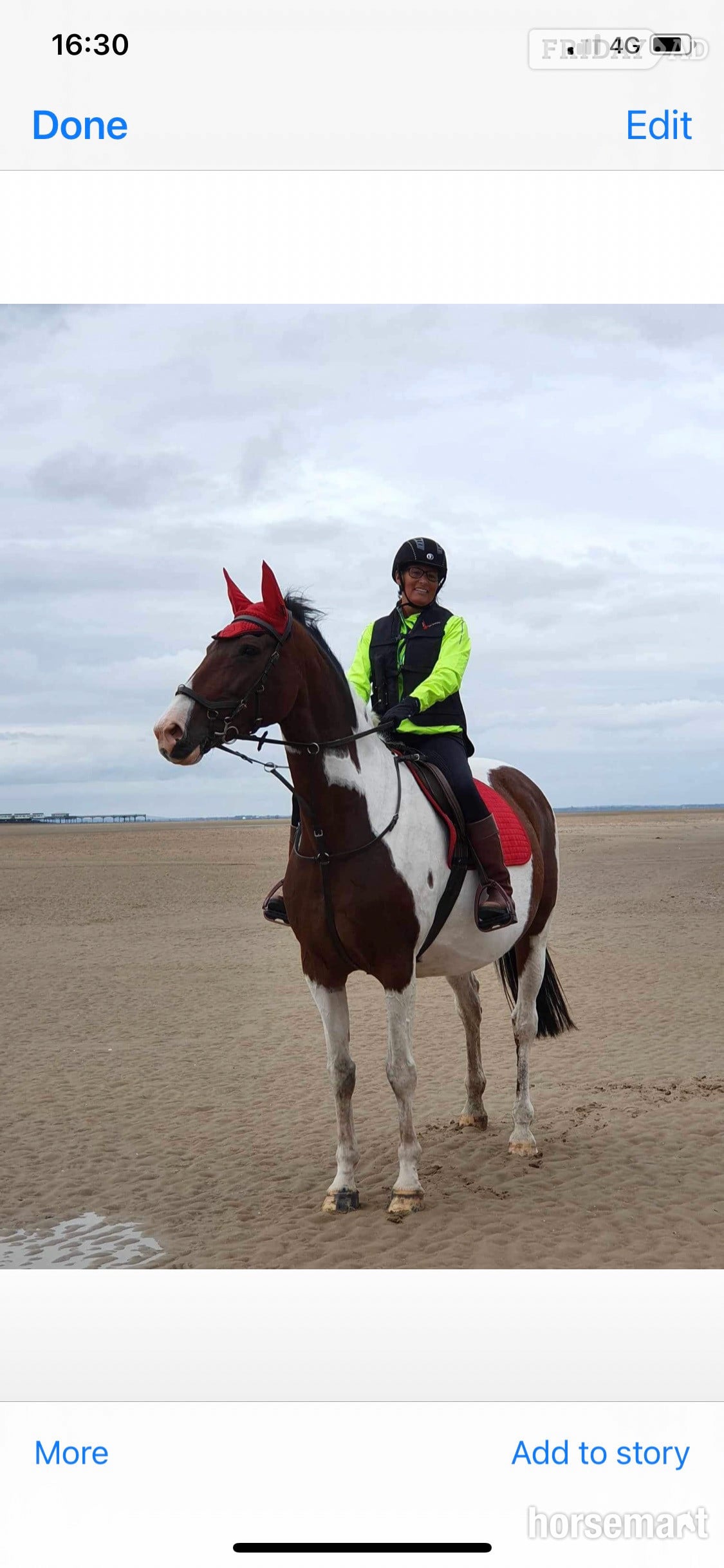 "Maisy" Skewbald Mare All Rounder