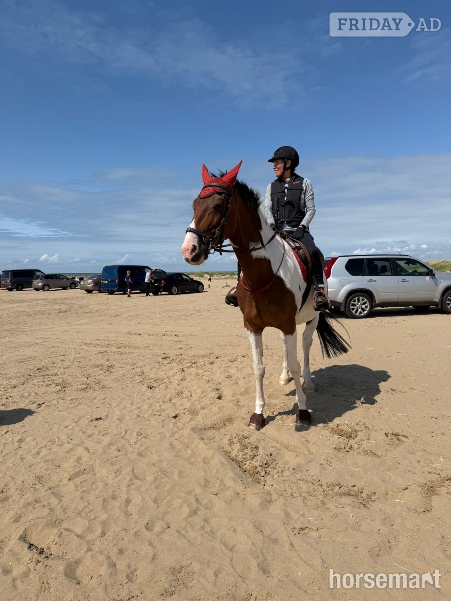 Wigan "Maisy" Skewbald Mare All Rounder
