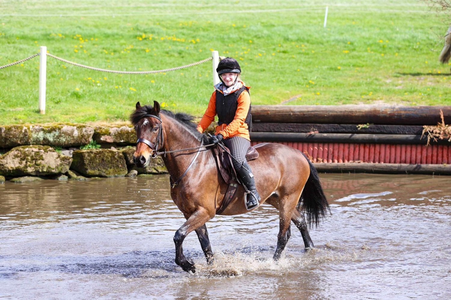 "Maggie May " Bay Mare All Rounder