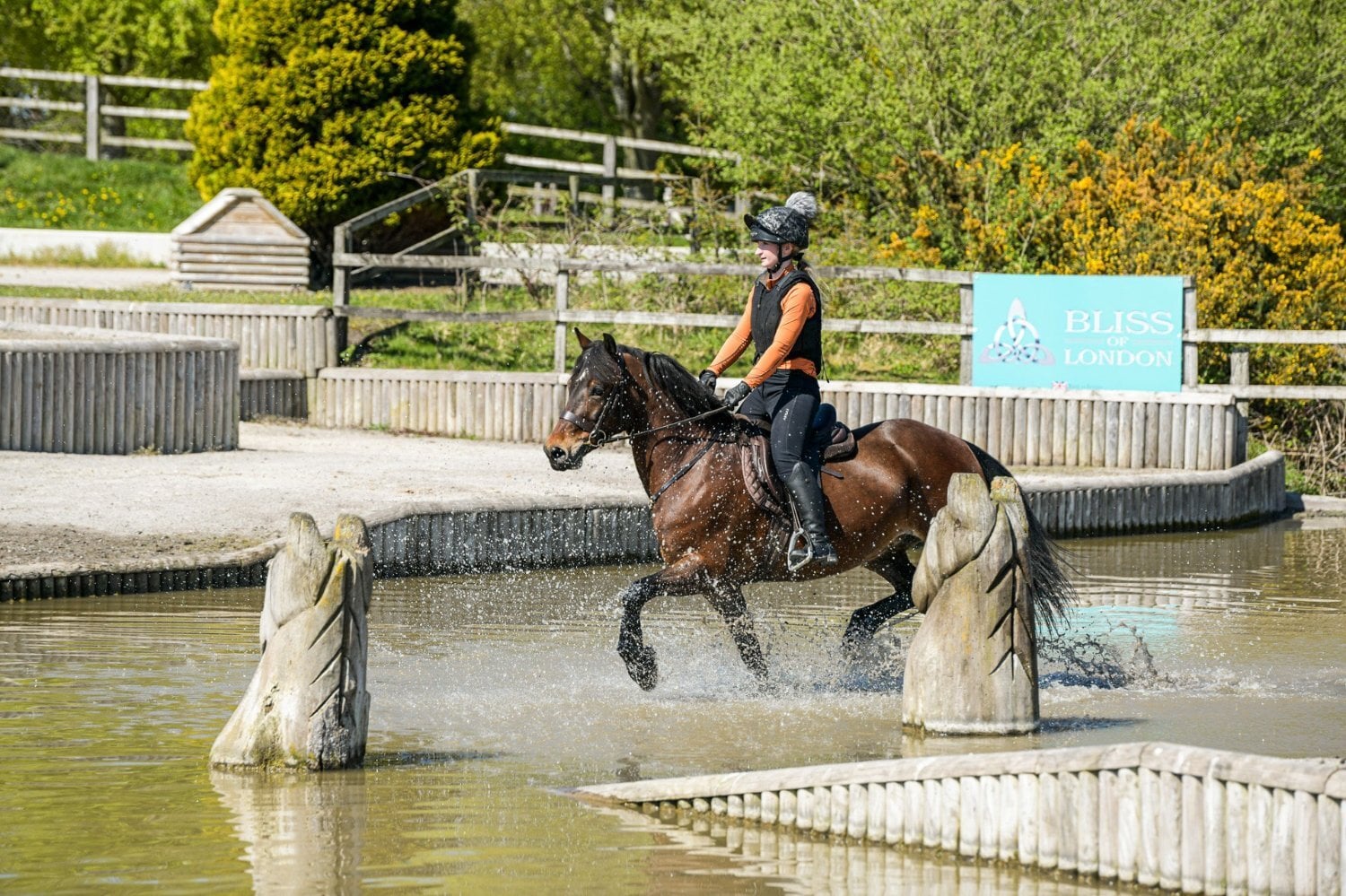 Conwy "Maggie May " Bay Mare All Rounder