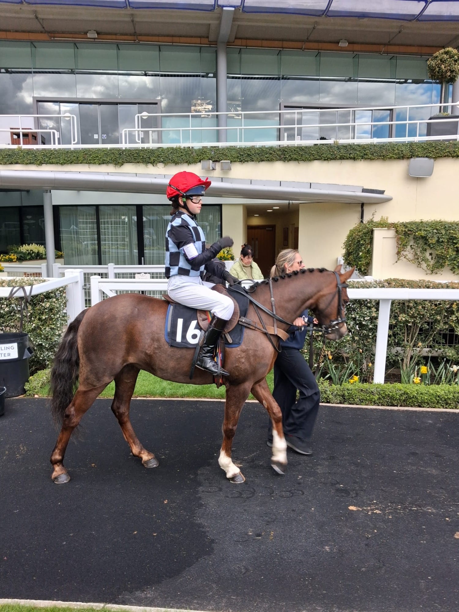 Cheltenham "Rianwyn Fairy Footsteps " Liver Chestnut Mare Pony Club Pony