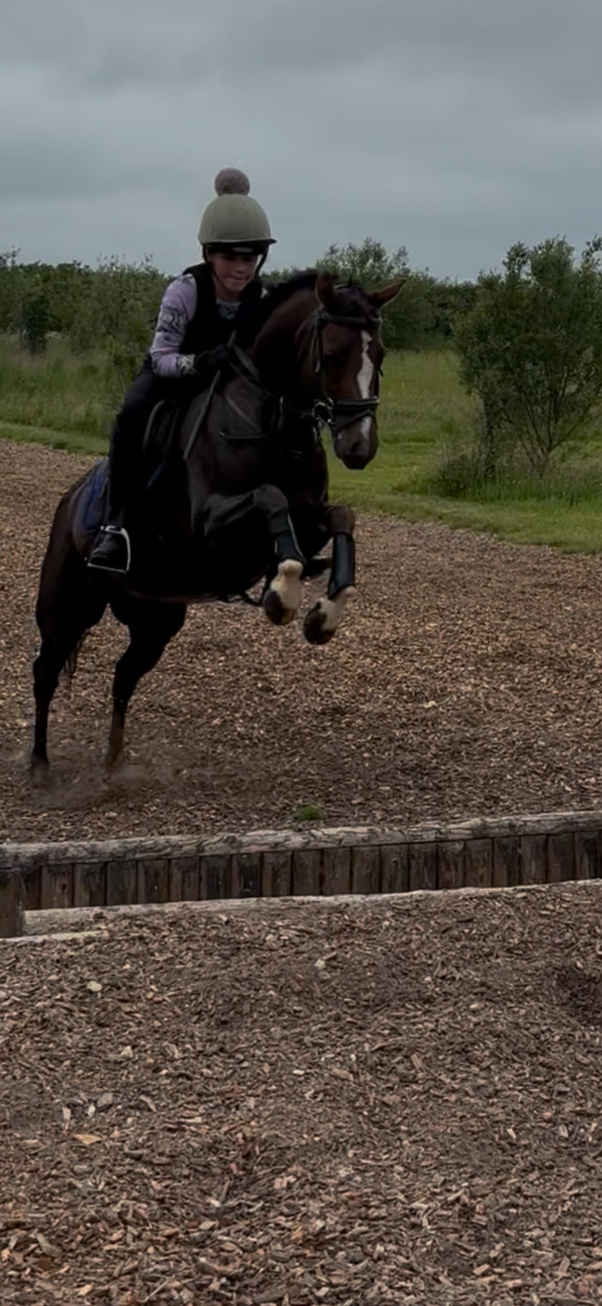 "Rianwyn Fairy Footsteps " Liver Chestnut Mare Pony Club Pony - Horses in Cheltenham