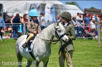"Cowance osprey" Rose Grey Gelding Mountain & Moorland Pony