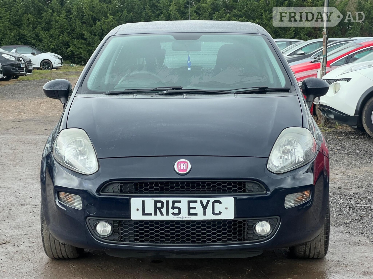 [ berth ]Fiat Punto