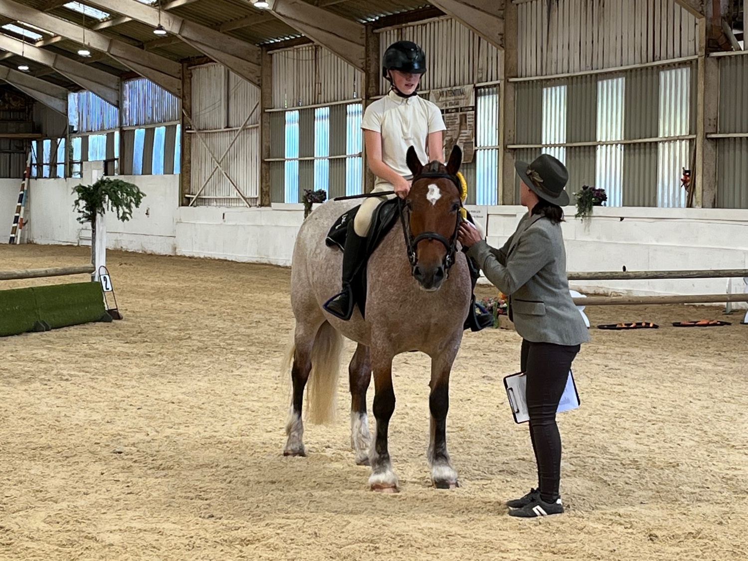 Staplehurst "Minari" Strawberry Roan Mare All Rounder
