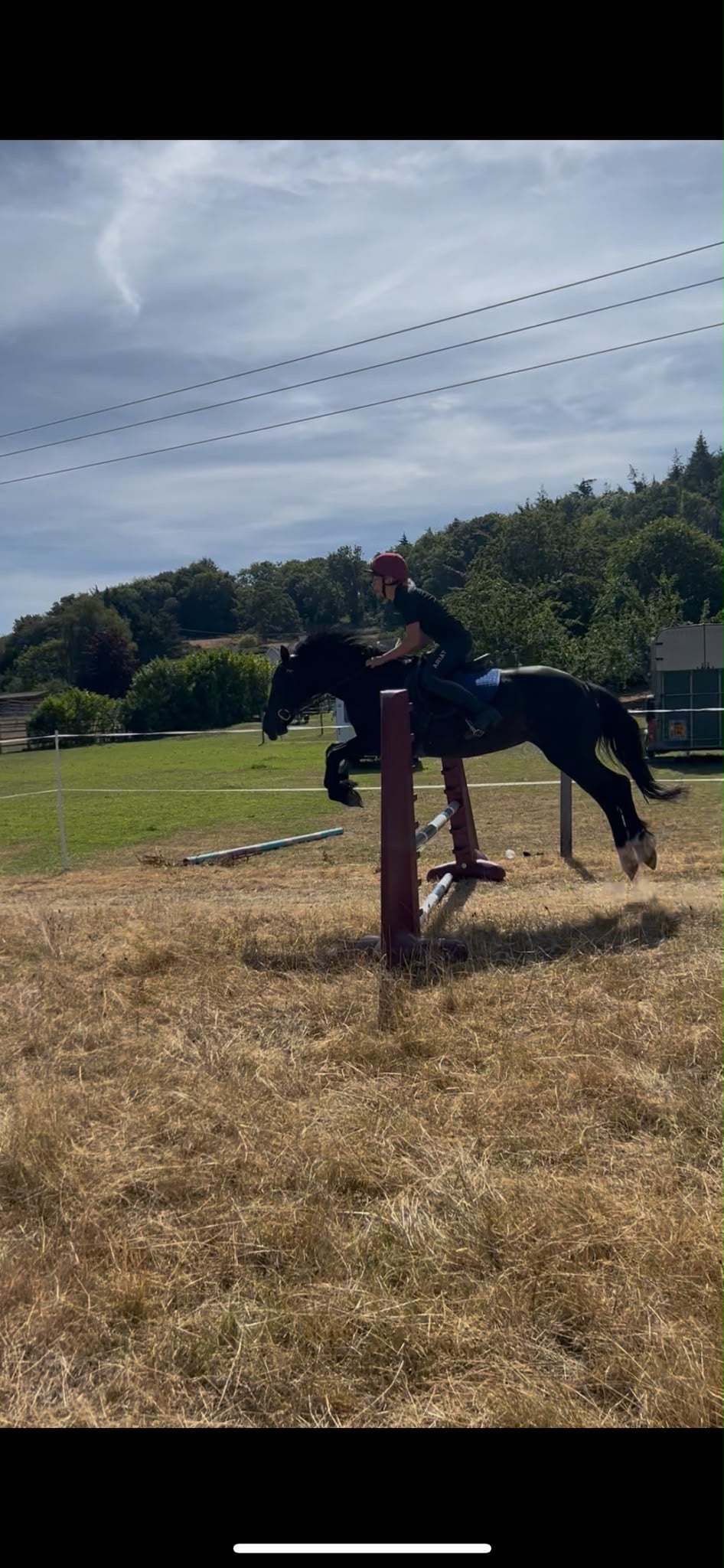 "Annie " Black Mare All Rounder