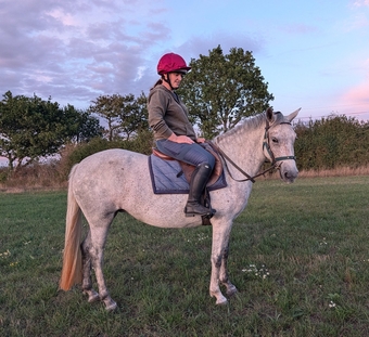 "Prudence" Grey Mare Pony Club Pony