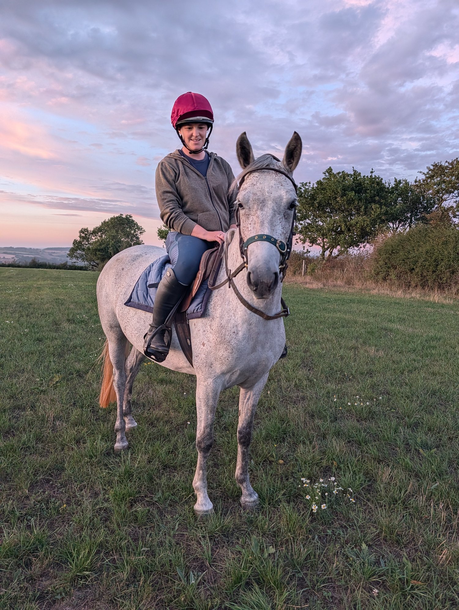 North Tawton "Prudence" Grey Mare Pony Club Pony