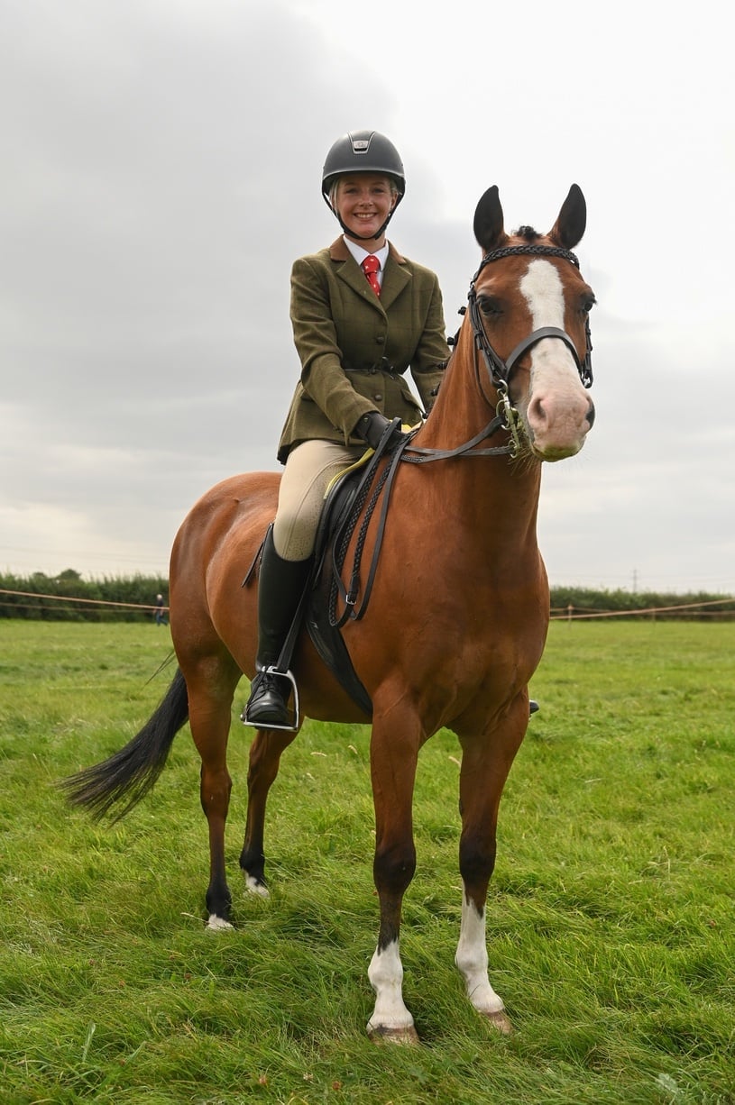 "Rebel" Bay Gelding Dressage Horse