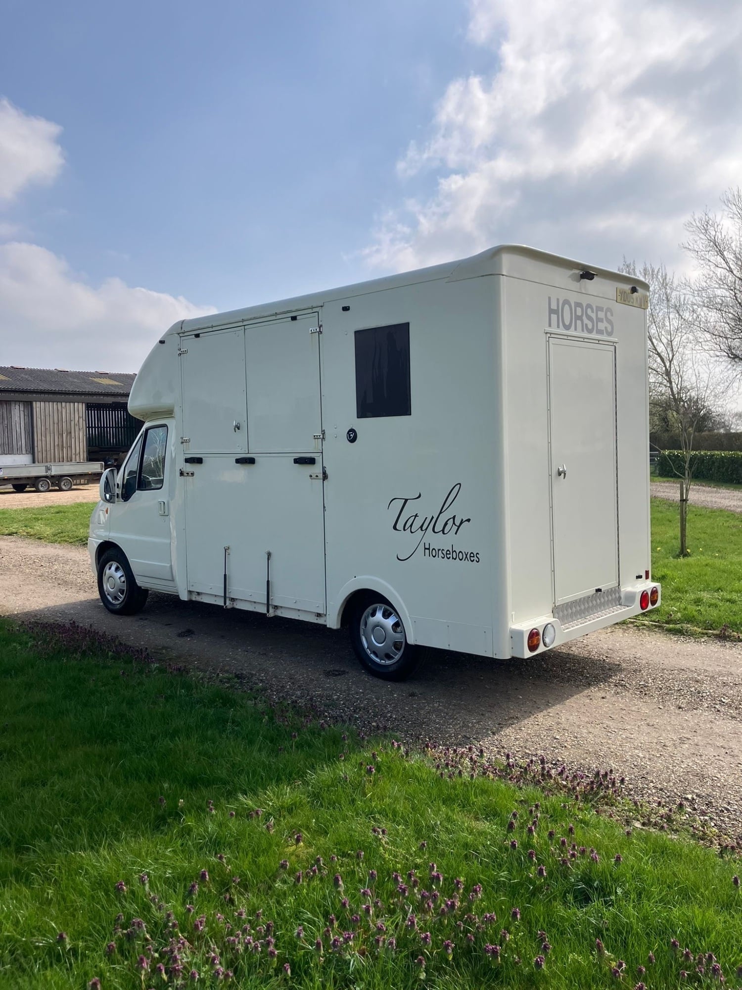 Taylor  Citroen Horsebox - Trailers & Horseboxes in Attleborough