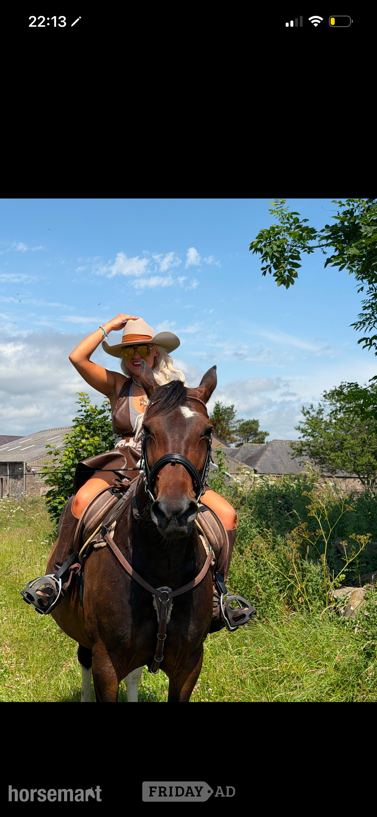 St Cyrus "Anastasia - I called her Evie for short " Bay Mare All Rounder