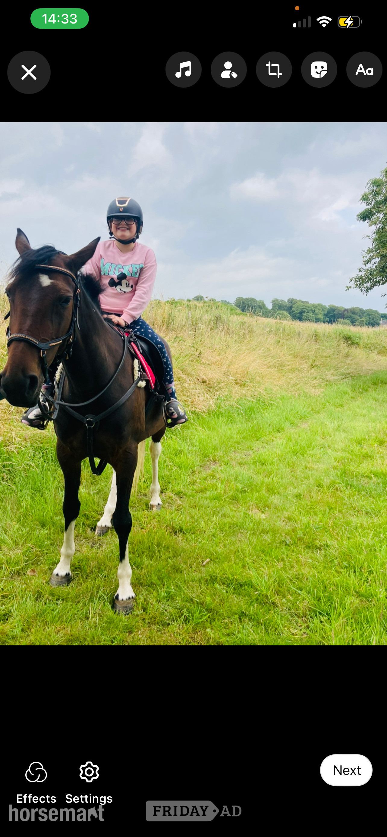 "Anastasia - I called her Evie for short " Bay Mare All Rounder - Horses