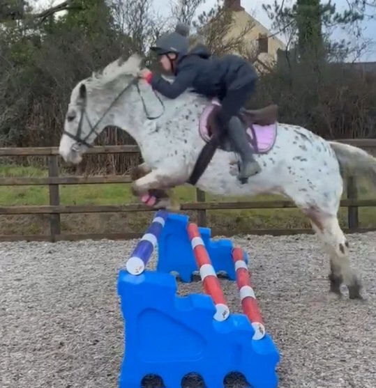 Ewloe "Indie" Blanket Spot Mare All Rounder
