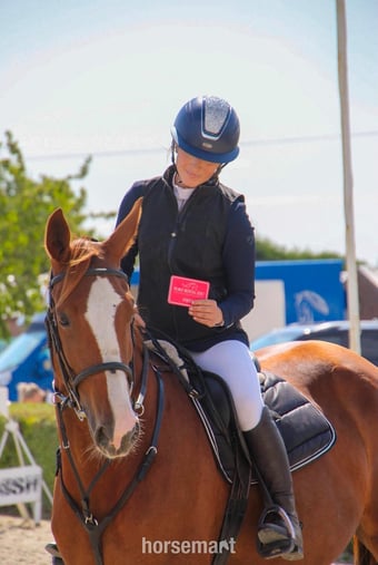 "Janey" Chestnut Mare All Rounder