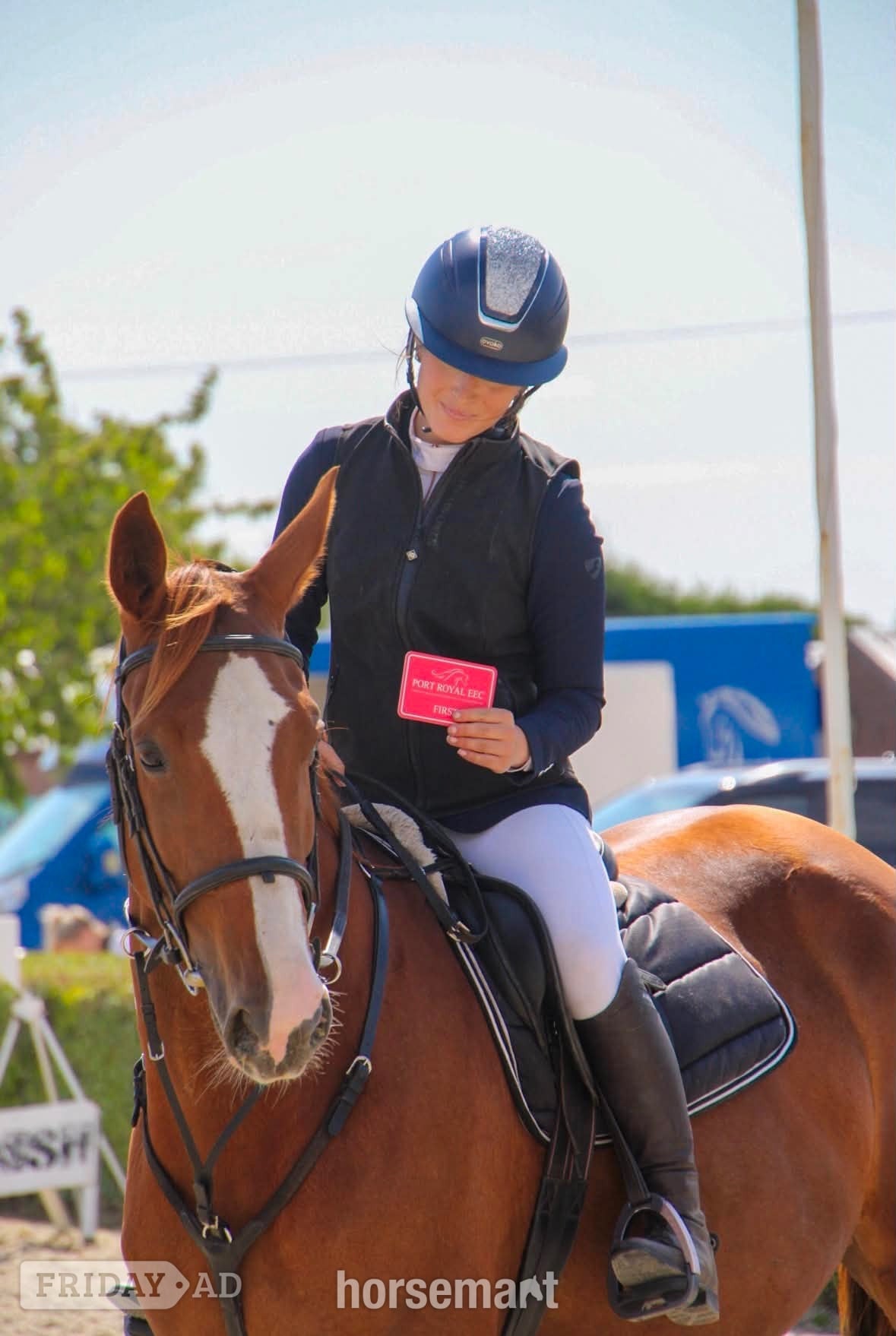 "Janey" Chestnut Mare All Rounder in Pontefract
