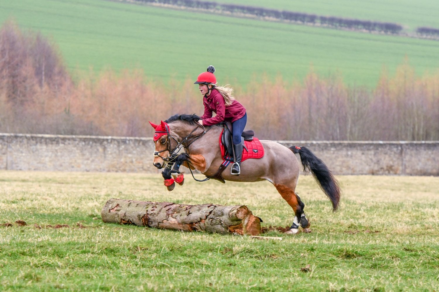 "Nancy" Dun Mare All Rounder