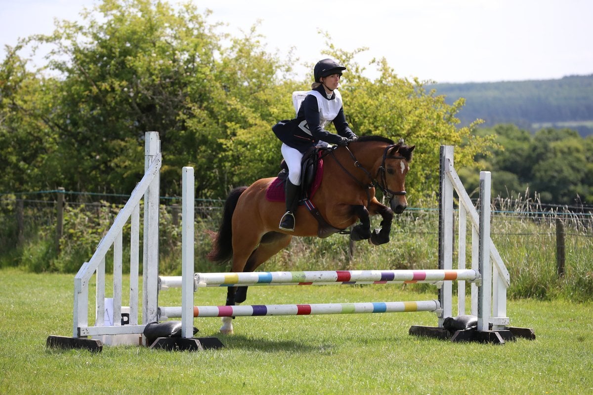 Seaham "Nancy" Dun Mare All Rounder