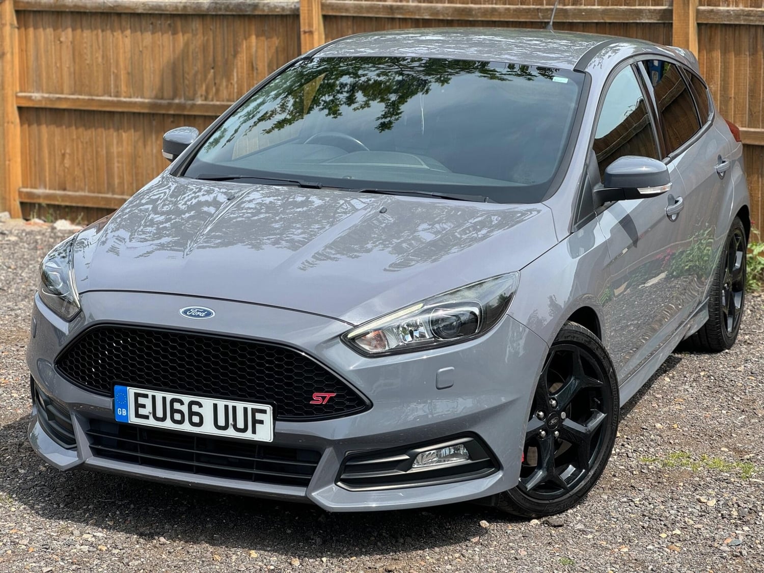 [ berth ]Ford Focus
