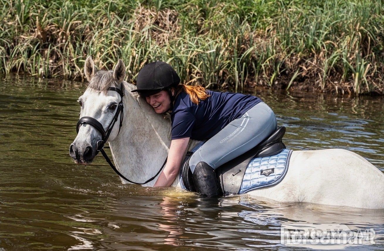 Huntingdon "Storm" Grey Gelding All Rounder