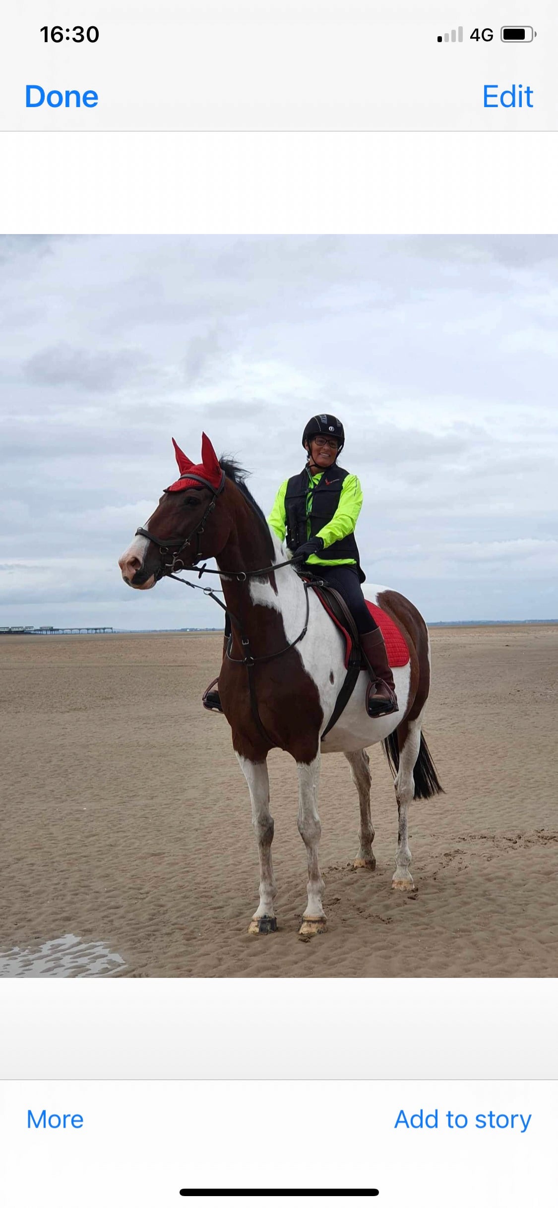 "Maisy" Skewbald Mare All Rounder