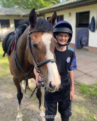 "Mini Monica " Bay Mare All Rounder