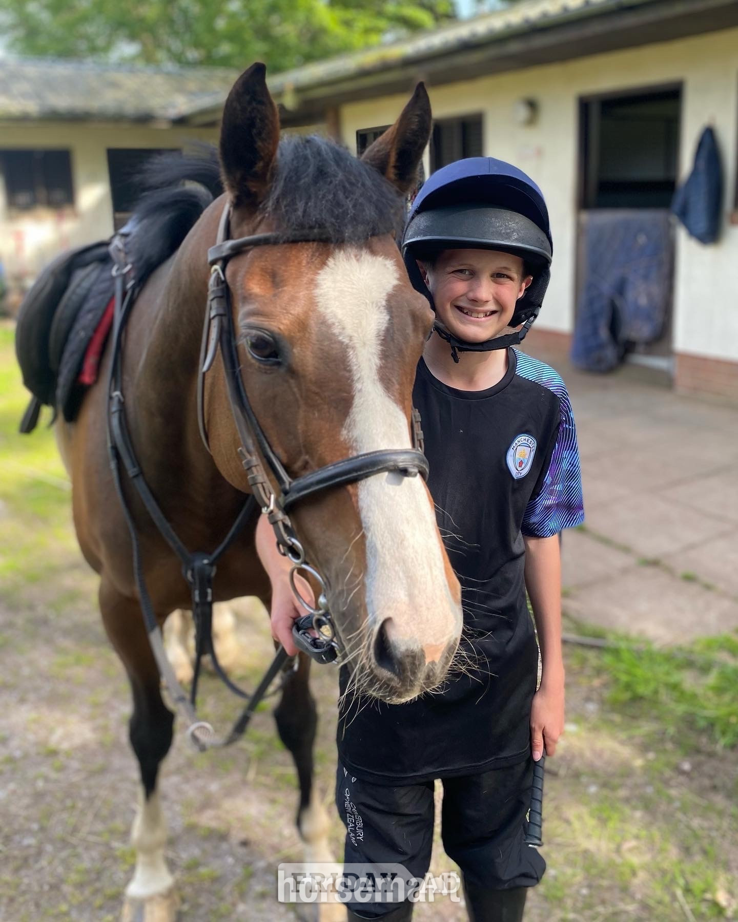 "Mini Monica " Bay Mare All Rounder in Carmarthen