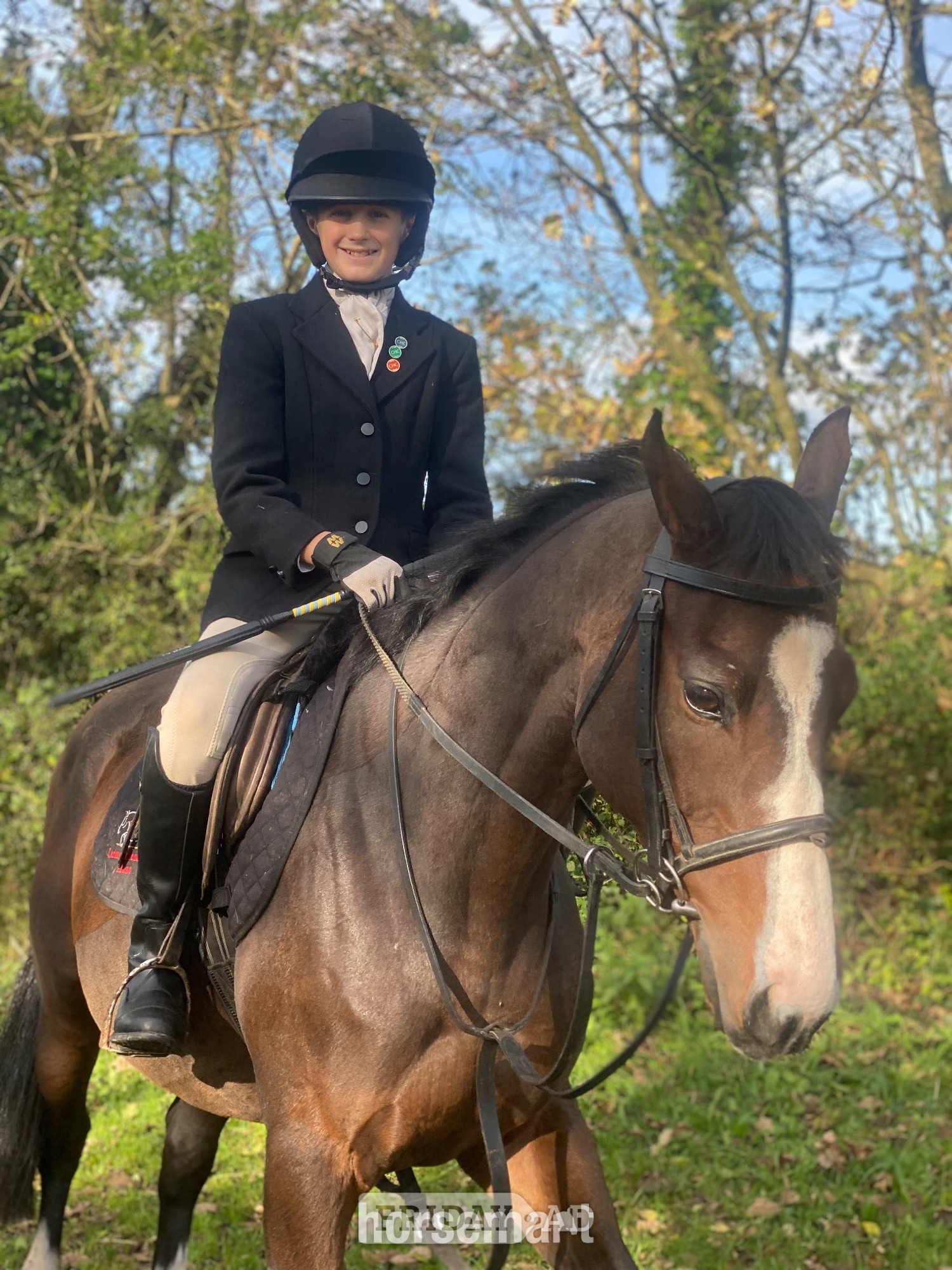 "Mini Monica " Bay Mare All Rounder