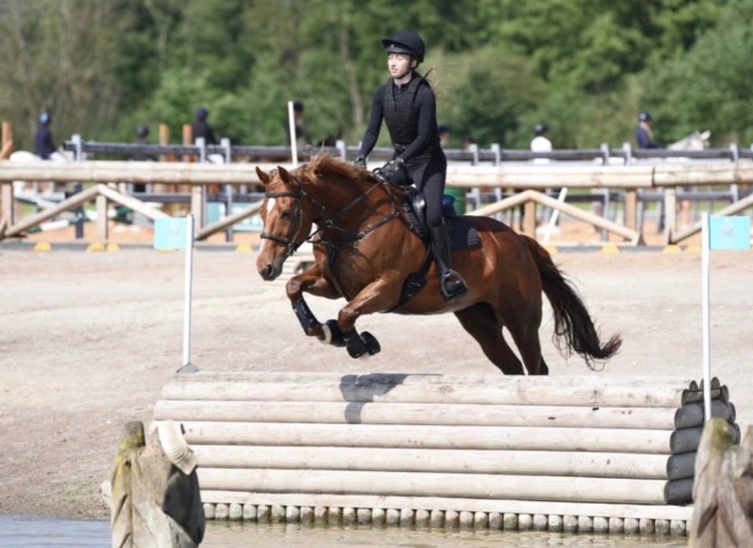 "Daisy " Chestnut Mare All Rounder