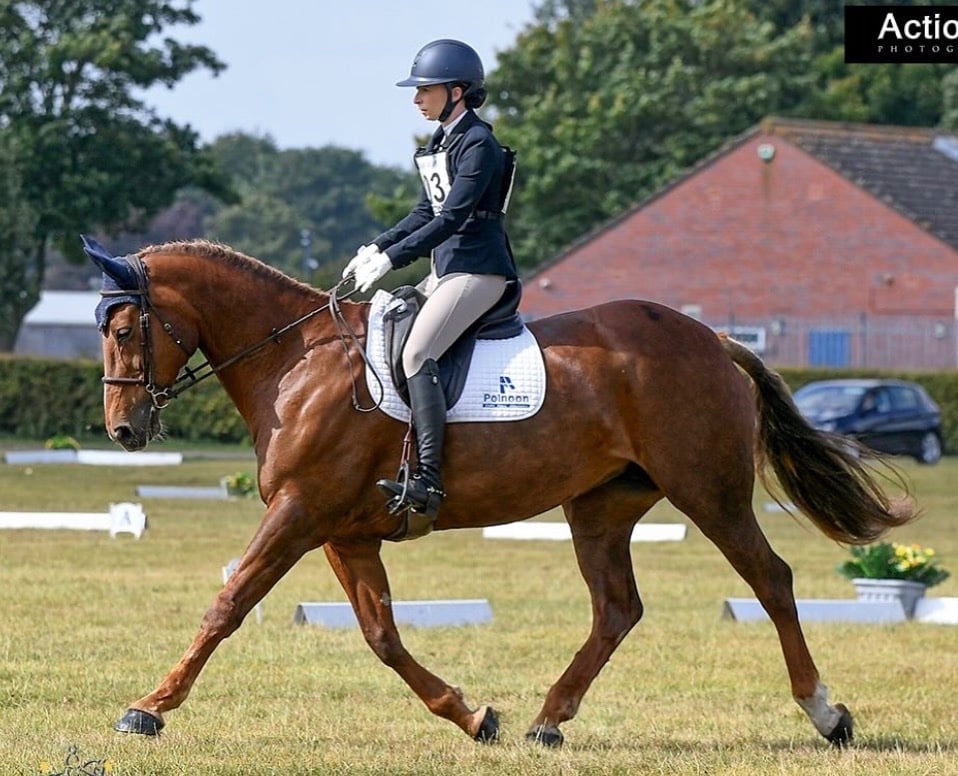 Motherwell "Daisy " Chestnut Mare All Rounder