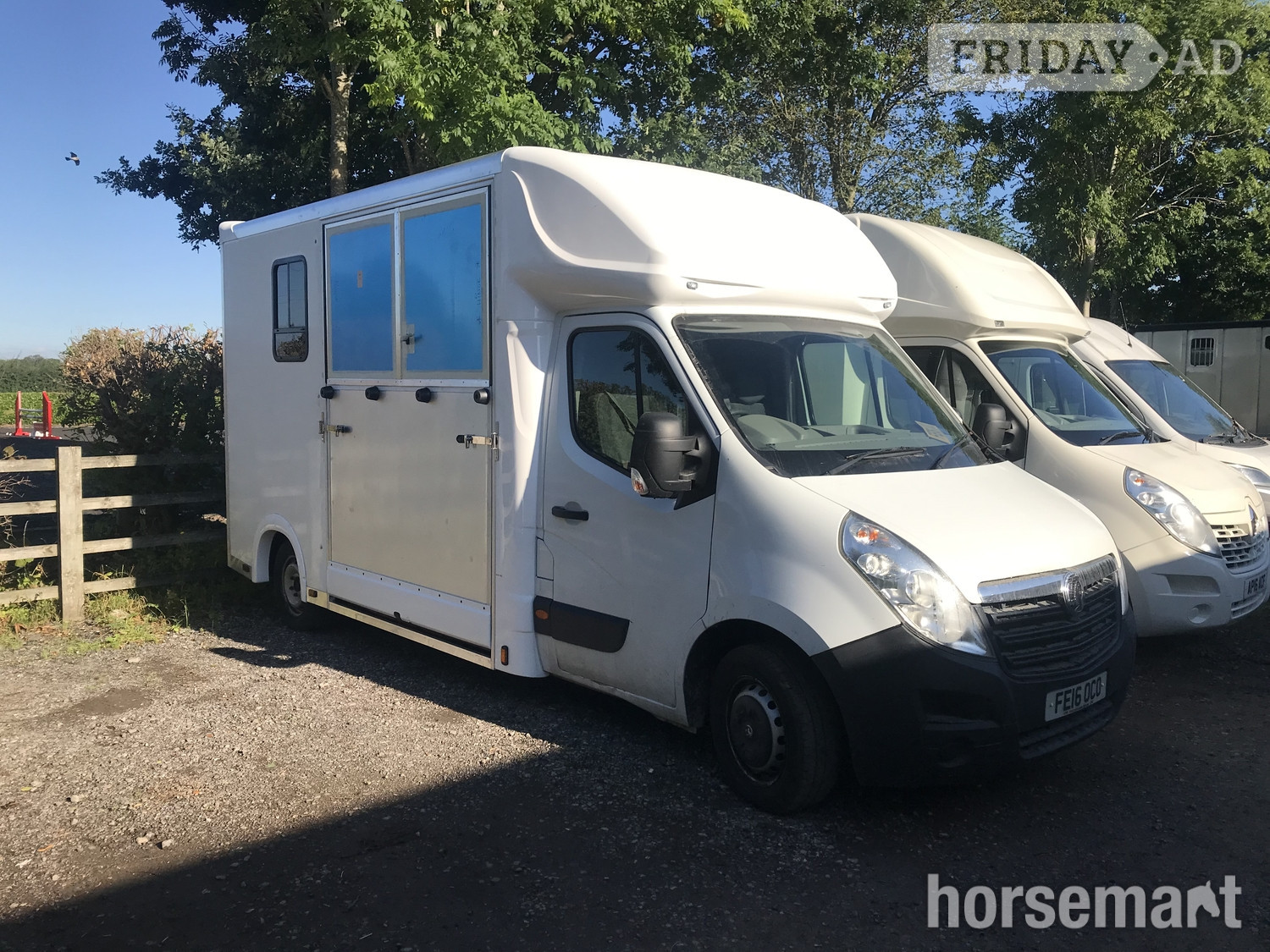 Select Pro Vauxhall Horsebox in Newark-on-Trent