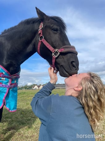 "Polo" Black Gelding Project Horse