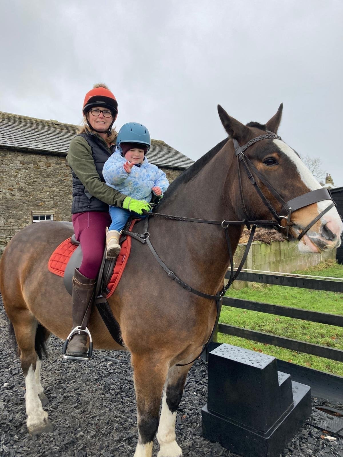 Clitheroe "Magic Tree (Flynn)" Bay Gelding Cob/Heavy Horse
