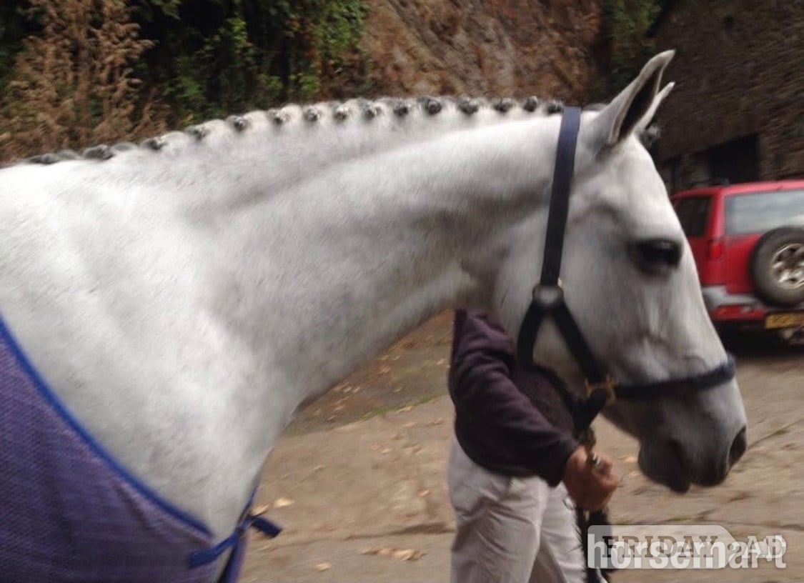 "Promsy " Grey Mare Family Horse