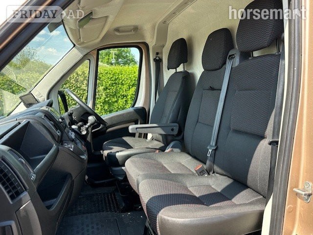 Sterling Pro Exec Citroen Horsebox - Trailers & Horseboxes