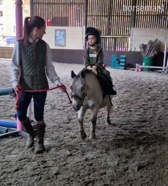 "Spotty" Spotted Gelding Mountain & Moorland Pony